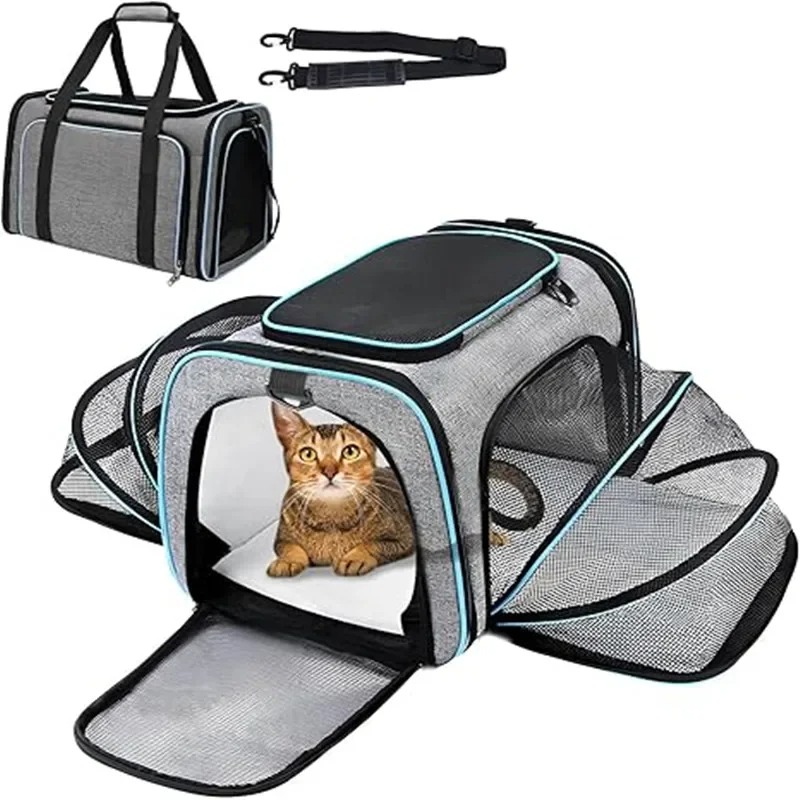Портативный дышащий складной р – обзор и цена Foldable Backpack Small